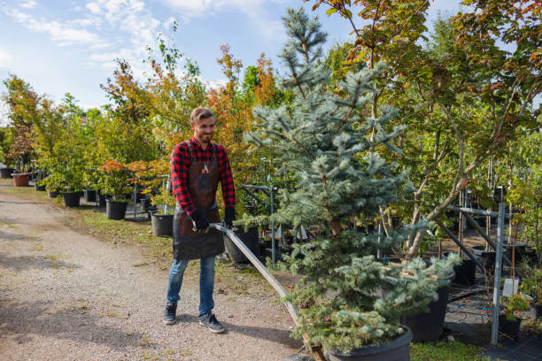 Best Seasonal Cleanup (Spring/Fall)  in Ddleville, MI